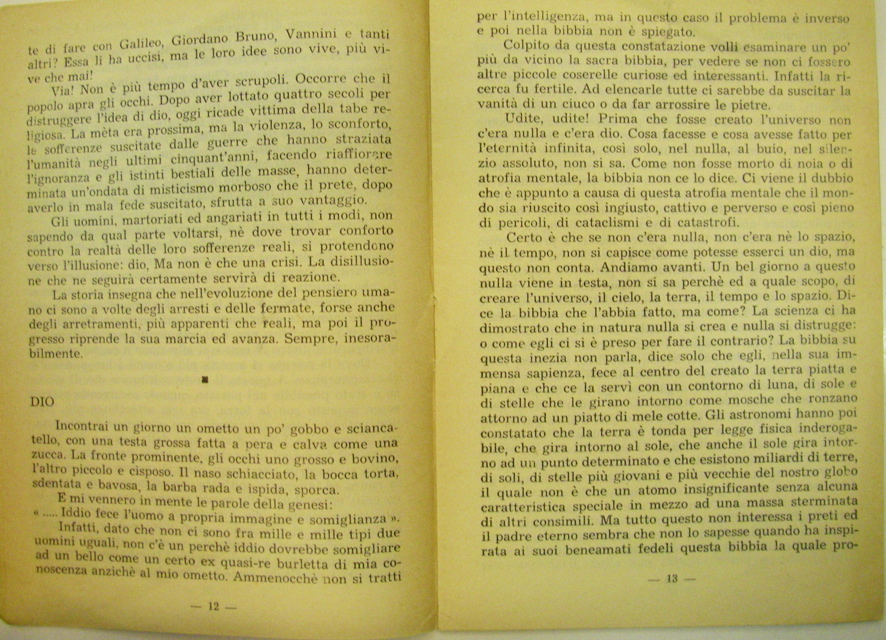 page12-13.jpg